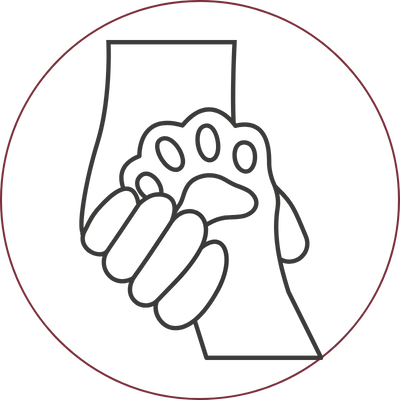 Icon Pfote in einer Hand. Andenken an die verstorbenen Haustiere.