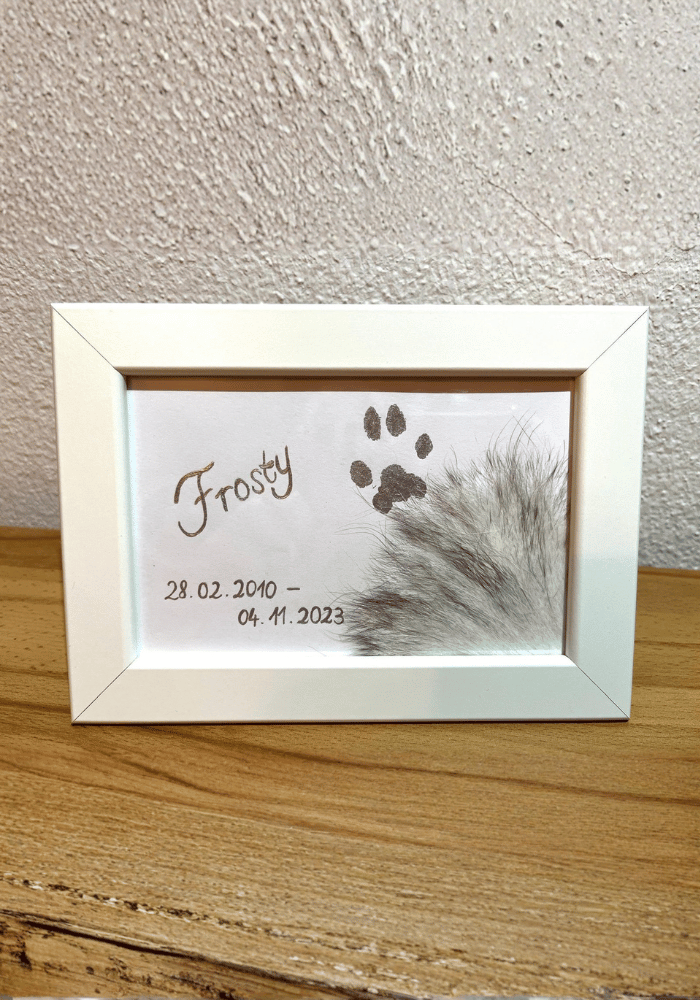 Beispielandenken der Tierbestattung Fell und Flügel.