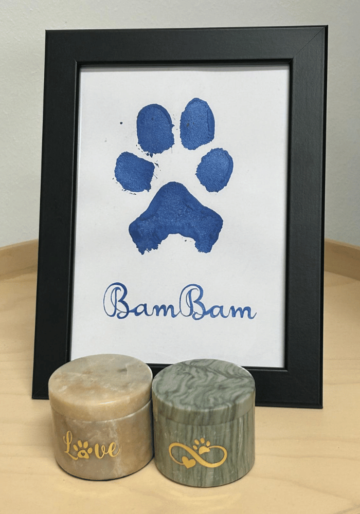 Beispielurne der Tierbestattung Fell und Flügel.