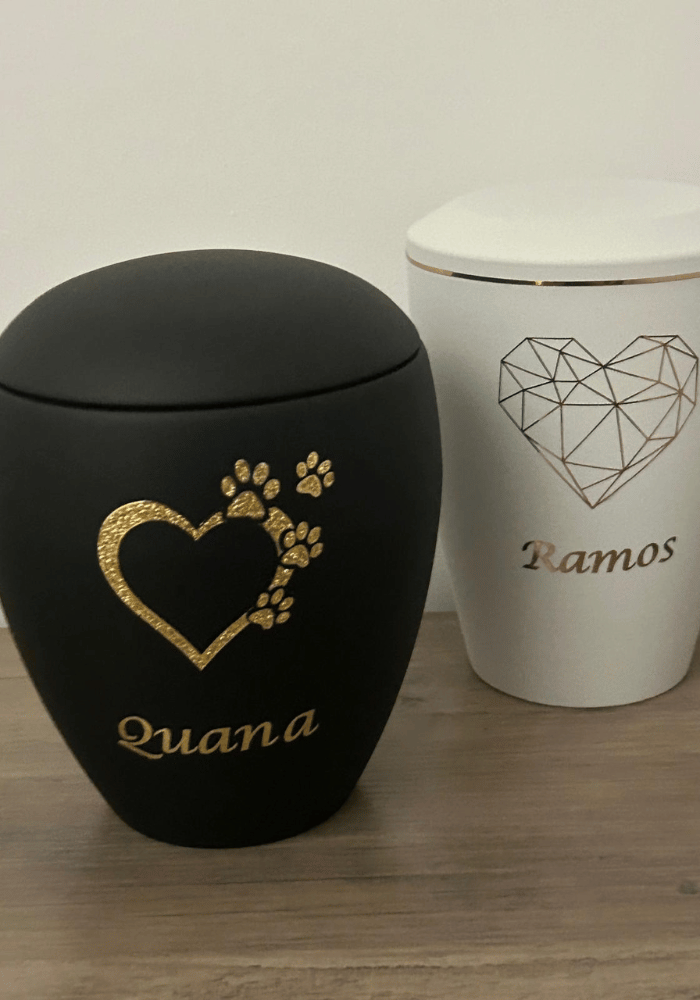 Beispielurne der Tierbestattung Fell und Flügel.